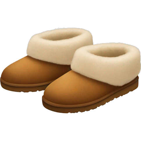 UGG slippers