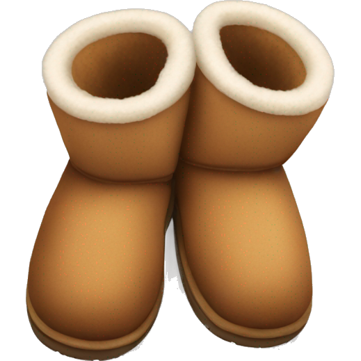Ugg slippers