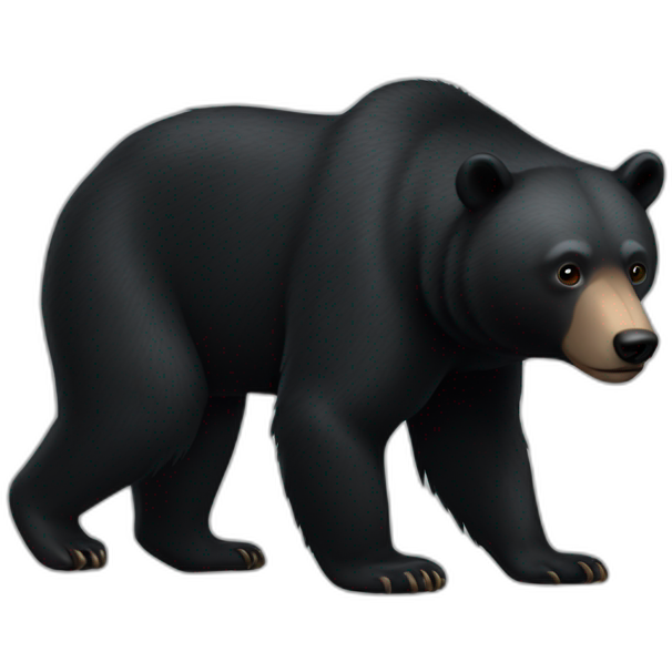 Black Bear full body