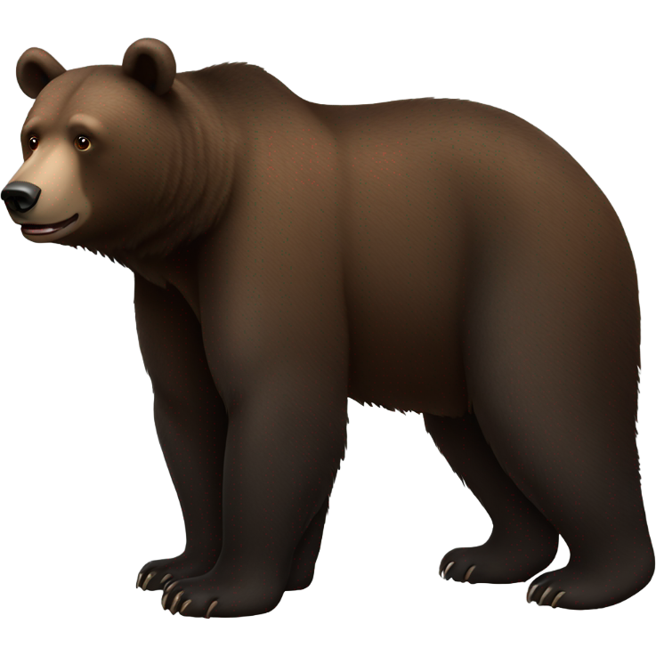 Black brown Bear full body