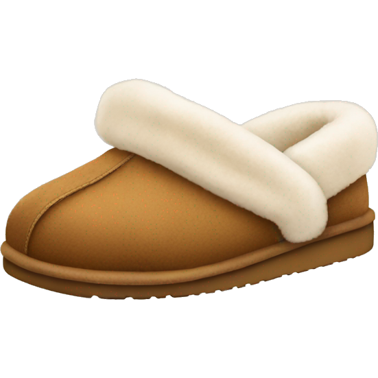 UGG slippers