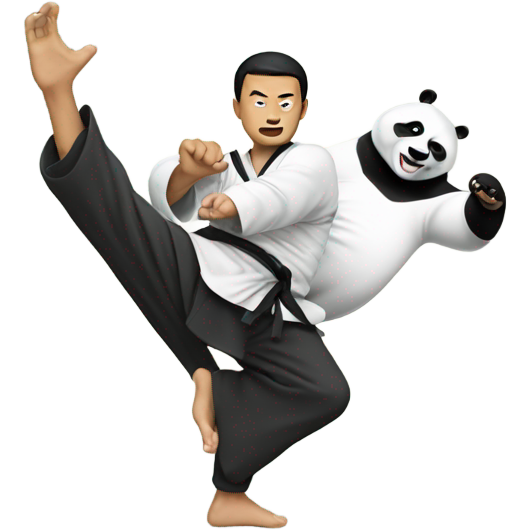 Asian man doing kung fu against a panda