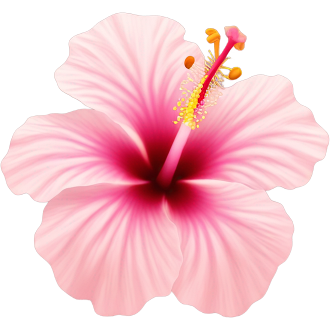 Hibiscus pink pastel