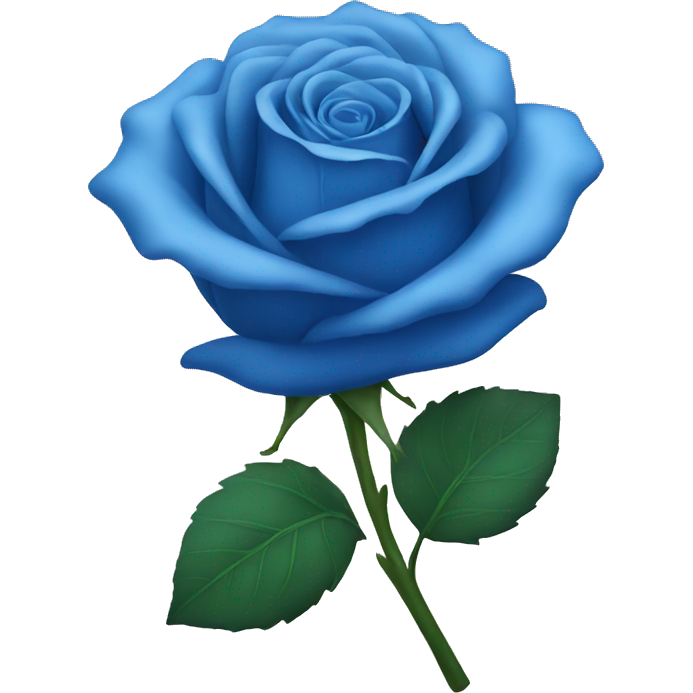 Blue rose