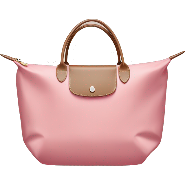 Longchamp bag