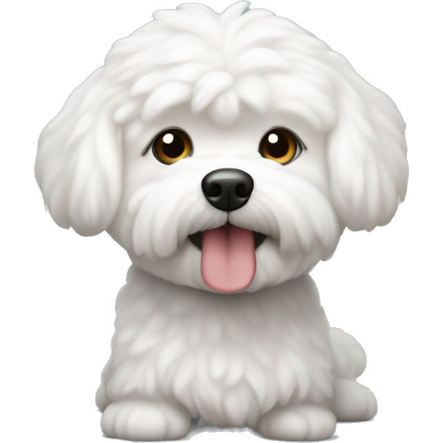 Haz un perro blanco (bichon maltes)