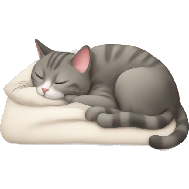 Cat sleep