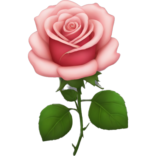 Rose in heart