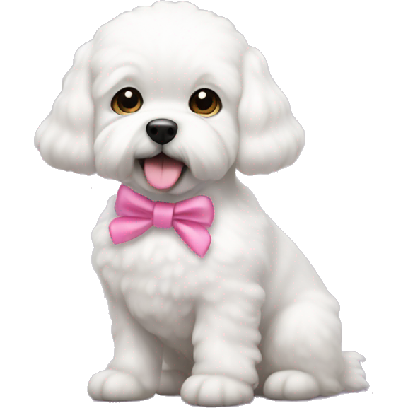 White buchón frise dog with little pink bow
