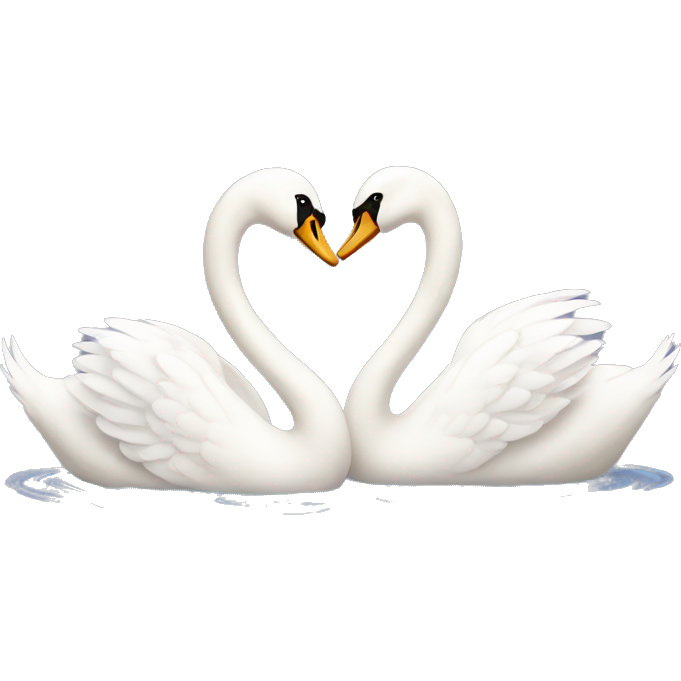 Swan couple love