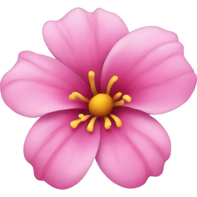Pink flower