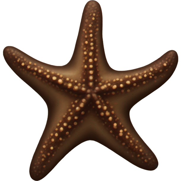 A large dark brown starfish