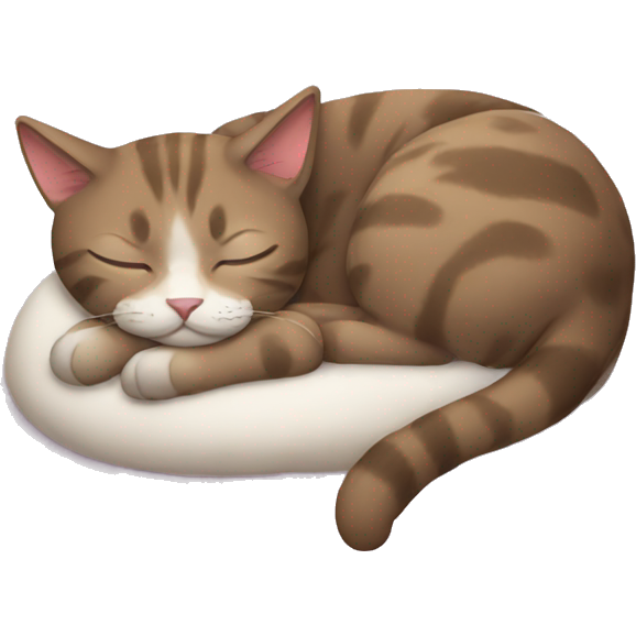 Sleeping cat