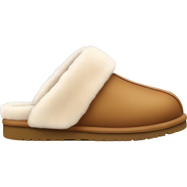 UGG slippers