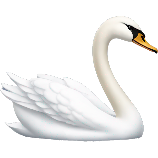 Swan