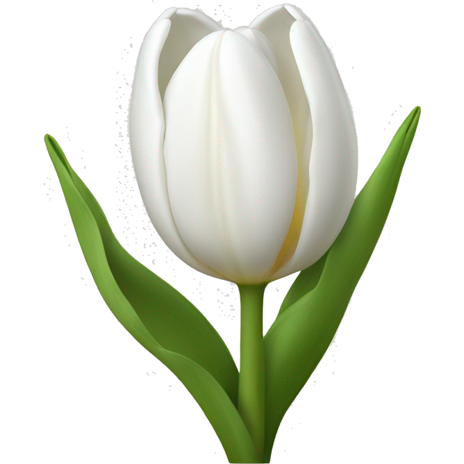 White tulips