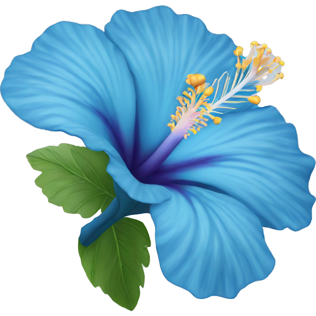 Blue hibiscus flower