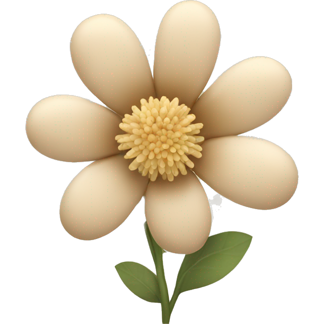 Beige flowers