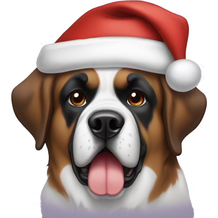 Saint Bernard with a Santa hat