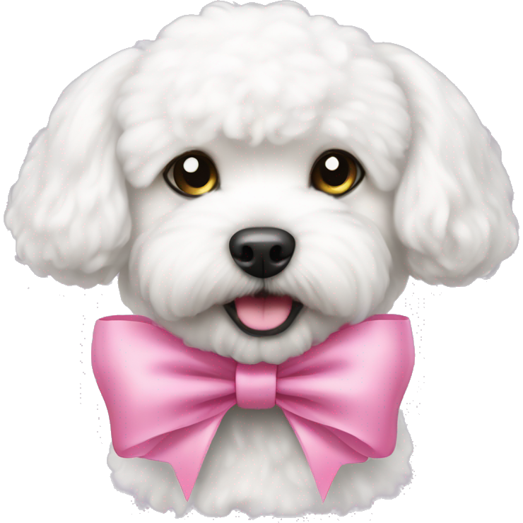 Bichon Frise dog wearing a pink bow