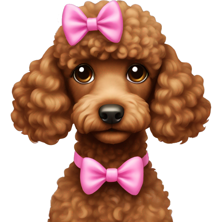Brown poodle with a pink bow