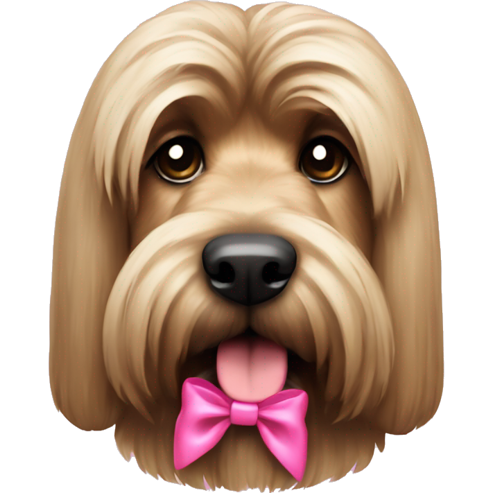 Dog briard pink bow