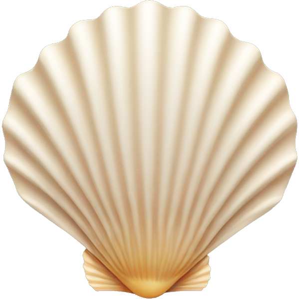 Scallop shell