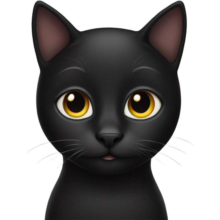 Black cat