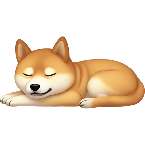 Shiba dog sleep