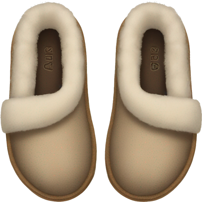 UGG slippers