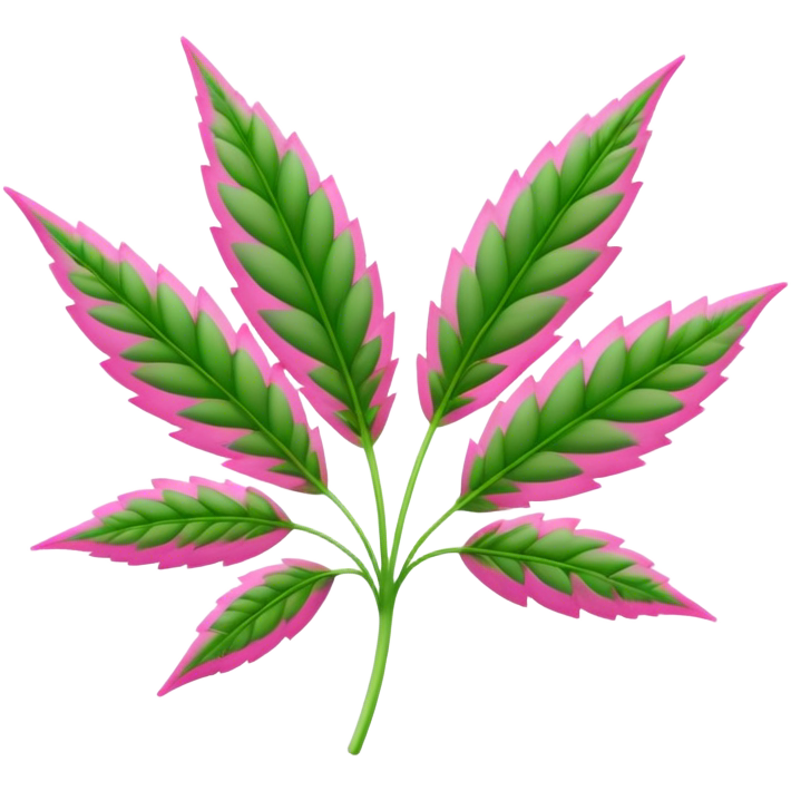 Pink weed