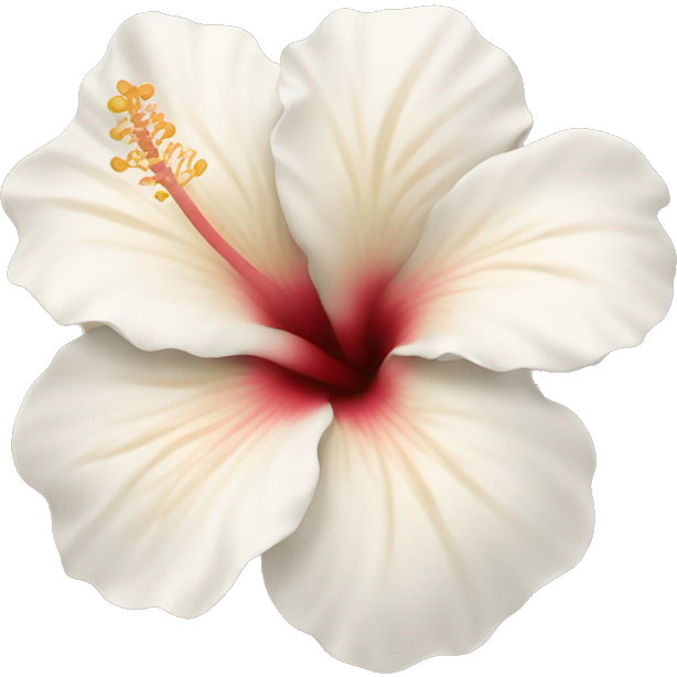 White and beige hibiscus flower