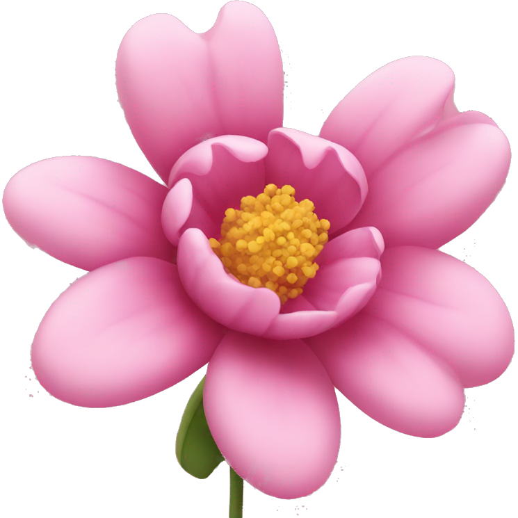 Pink flower