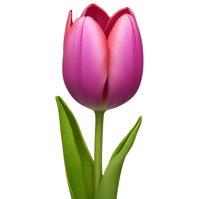 Tulpen