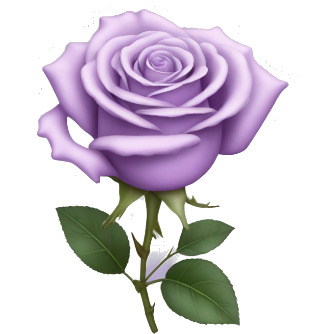 Light purple rose coquette