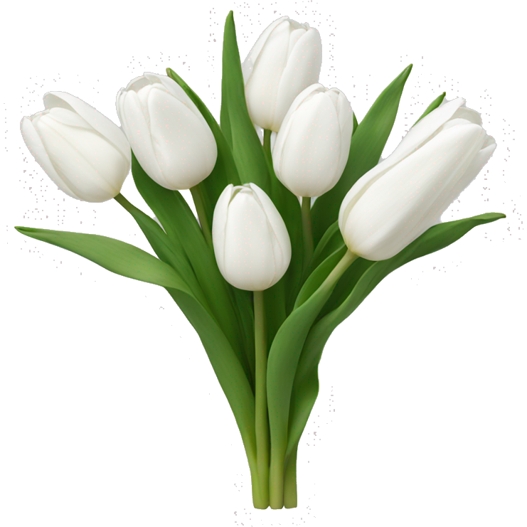 White tulips