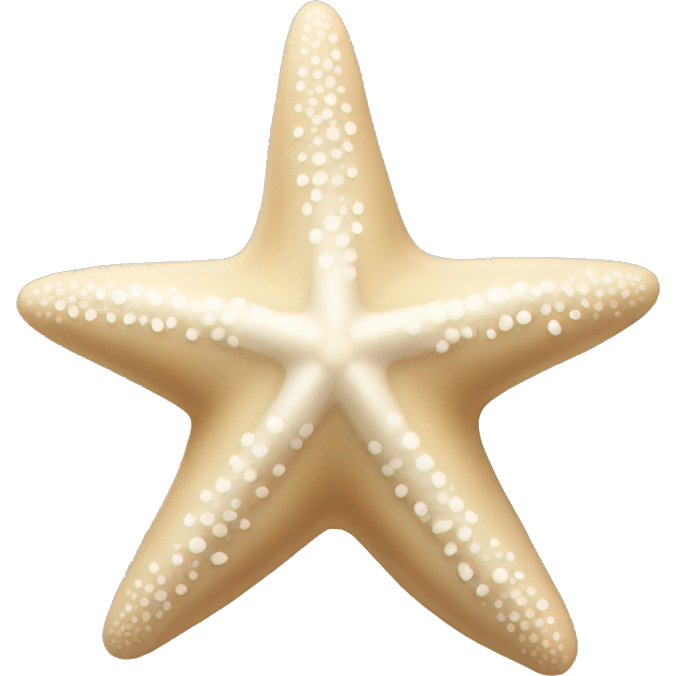 Beige and white starfish