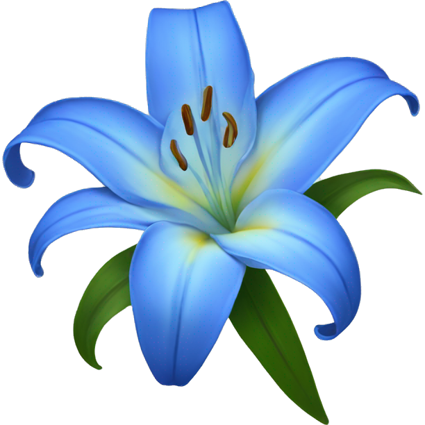 Blue Lily flower