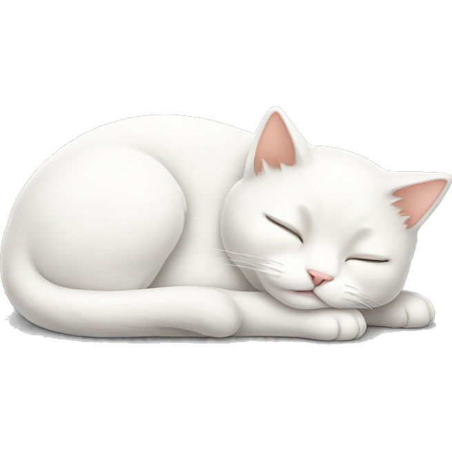 Cute white cat sleeping