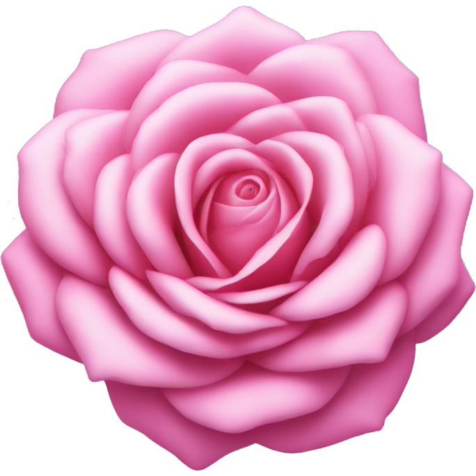 Una rosa de color rosa