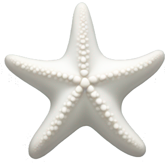 White starfish