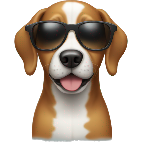 Dog with sunglasses
