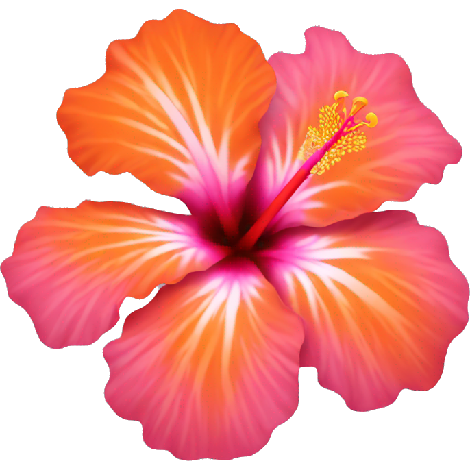 Pink and orange hibiscus flower