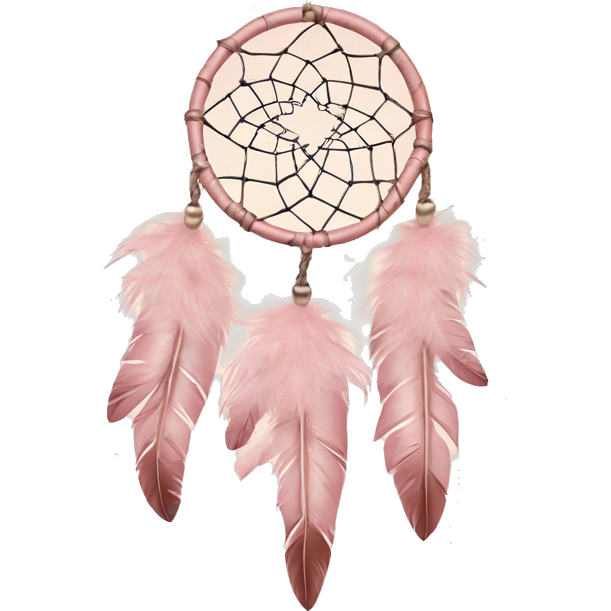 Blush pink dream catcher with feathers