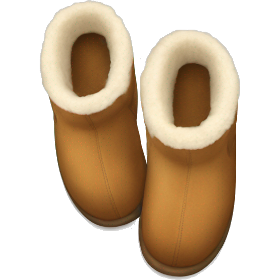 UGG slippers