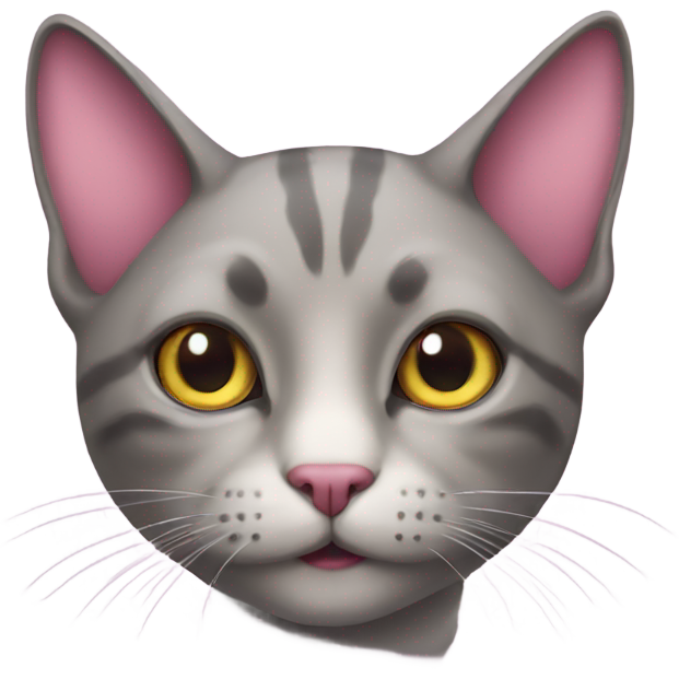 Cat with pink eyes
