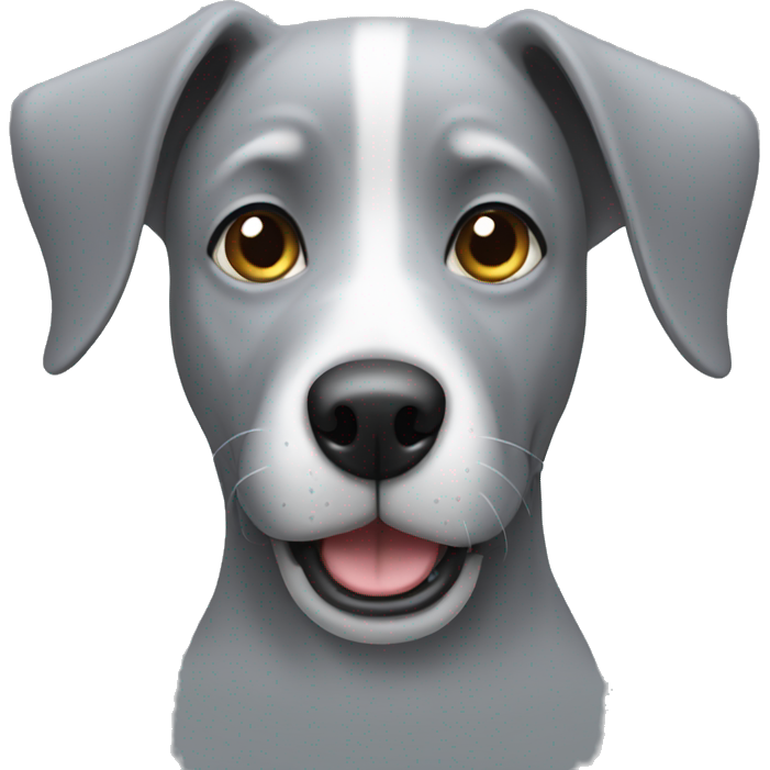 Grey Dog