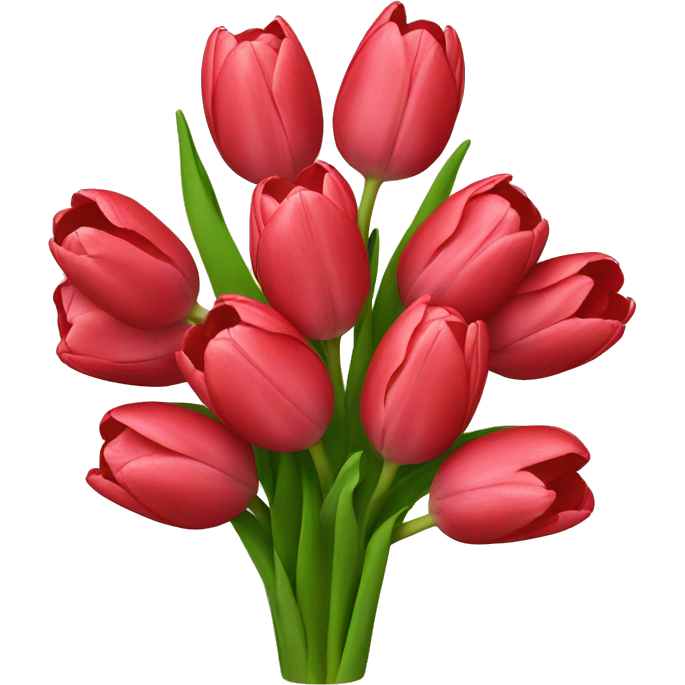 Tulip bouquet