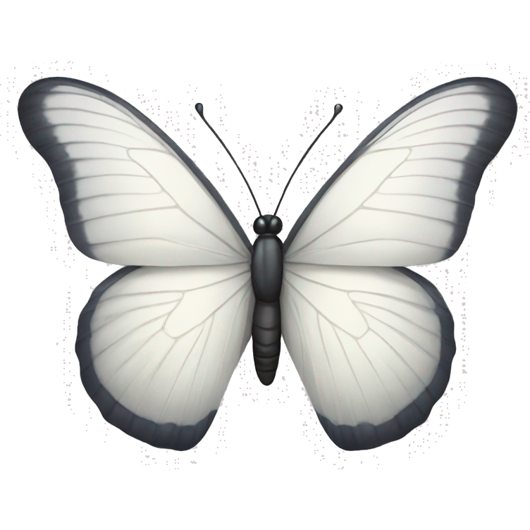 White Butterfly