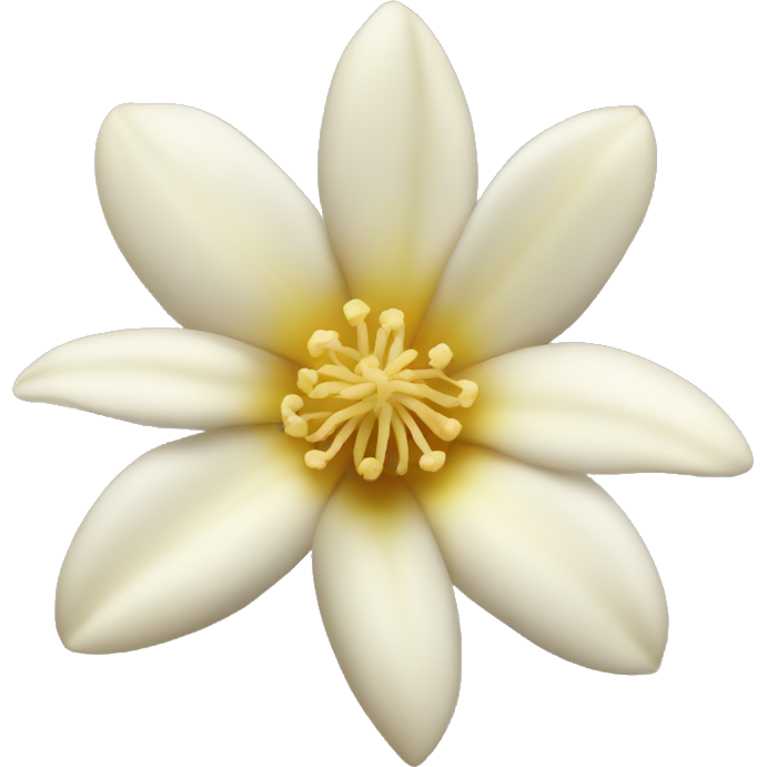 Vanilla flower